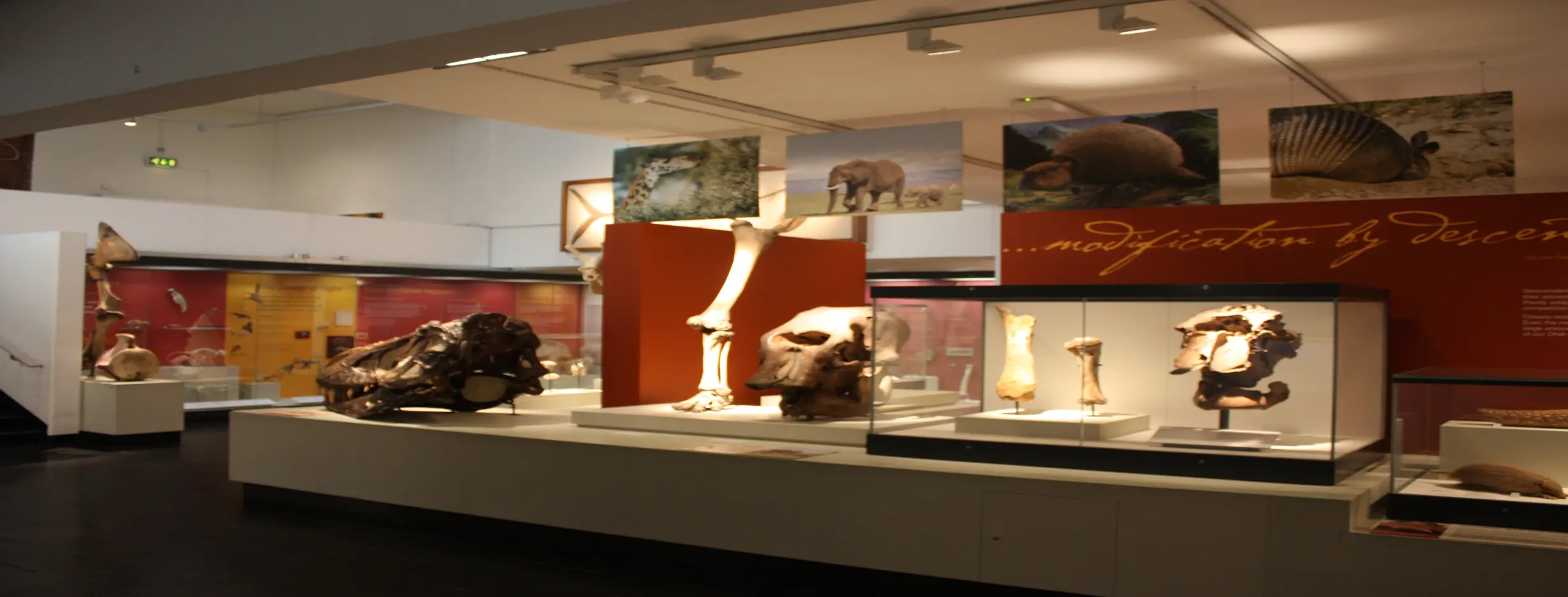 Image for Artful Heritage